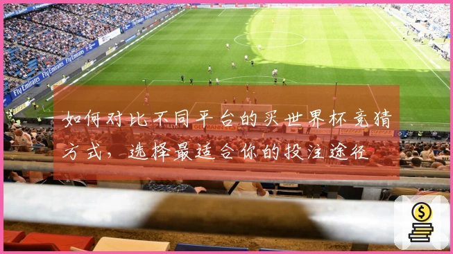 如何对比不同平台的买世界杯竞猜方式，选择最适合你的投注途径