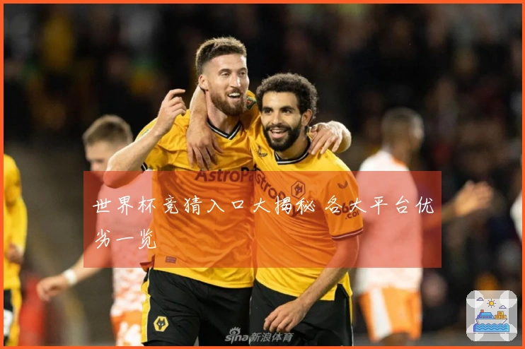 世界杯竞猜入口大揭秘 各大平台优劣一览
