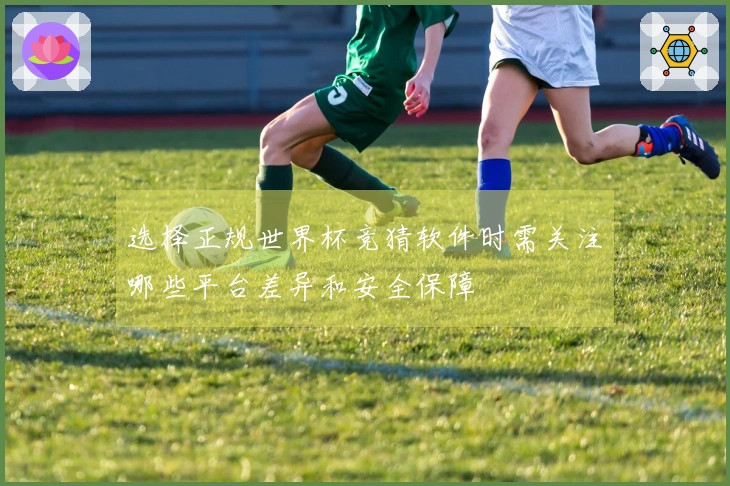 选择正规世界杯竞猜软件时需关注哪些平台差异和安全保障