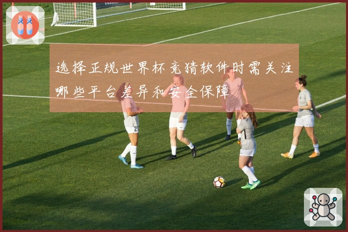 选择正规世界杯竞猜软件时需关注哪些平台差异和安全保障