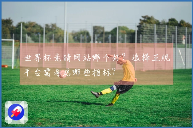 世界杯竞猜网站哪个好？选择正规平台需考虑哪些指标？