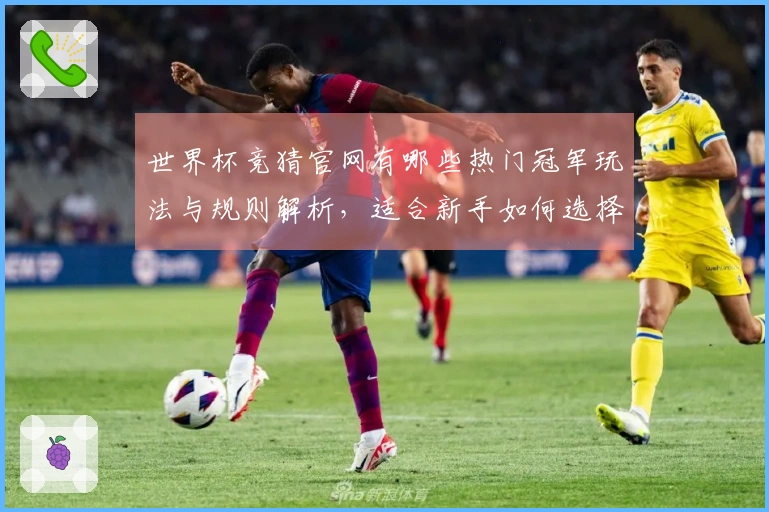 世界杯竞猜官网有哪些热门冠军玩法与规则解析，适合新手如何选择？