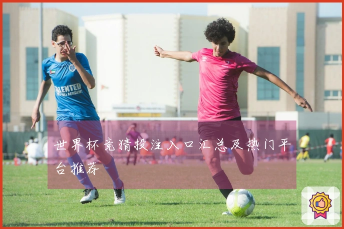 世界杯竞猜投注入口汇总及热门平台推荐